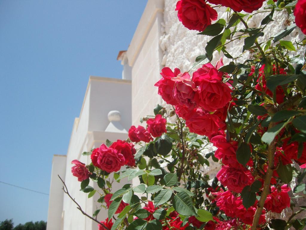 Masseria Nuova Francavilla Fontana Buitenkant foto