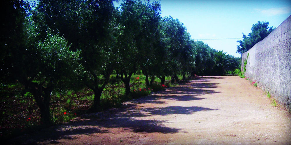 Masseria Nuova Francavilla Fontana Buitenkant foto